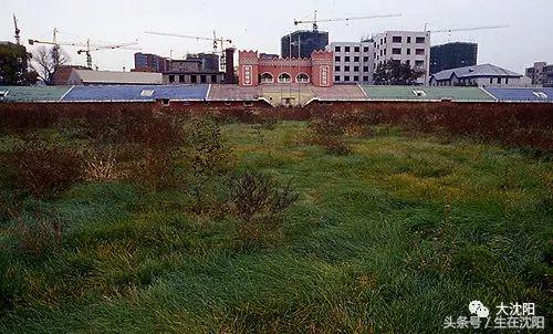 汉卿足球场,汉卿体育场训练