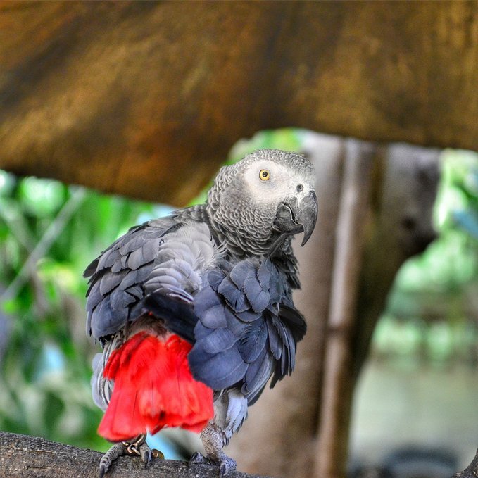 人间仙境三亚,三亚人间天堂全景