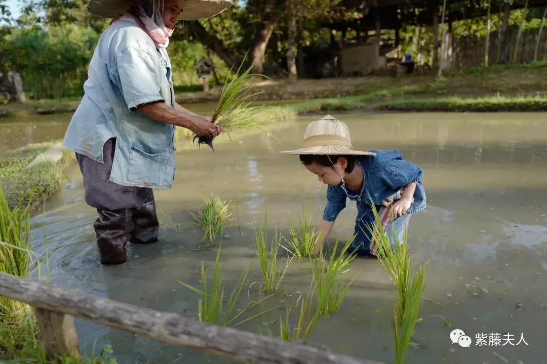 去泰国清迈旅行攻略,最新泰国清迈旅游攻略