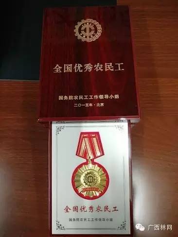 一方原木能出多少精品木材,一方原木多少钱