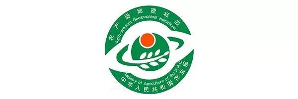 正宗清远连州水晶梨,广东清远连州的水晶梨