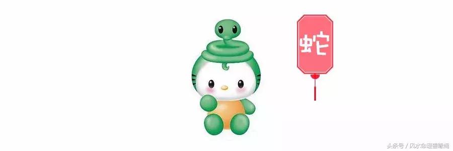 生肖与八字2022年运势及运程,从八字看十二生肖婚姻运势