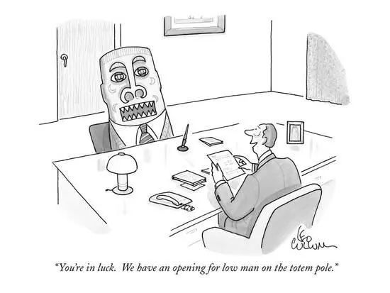 我从书中读懂了什么,我从这本书里知道了许多知识英语