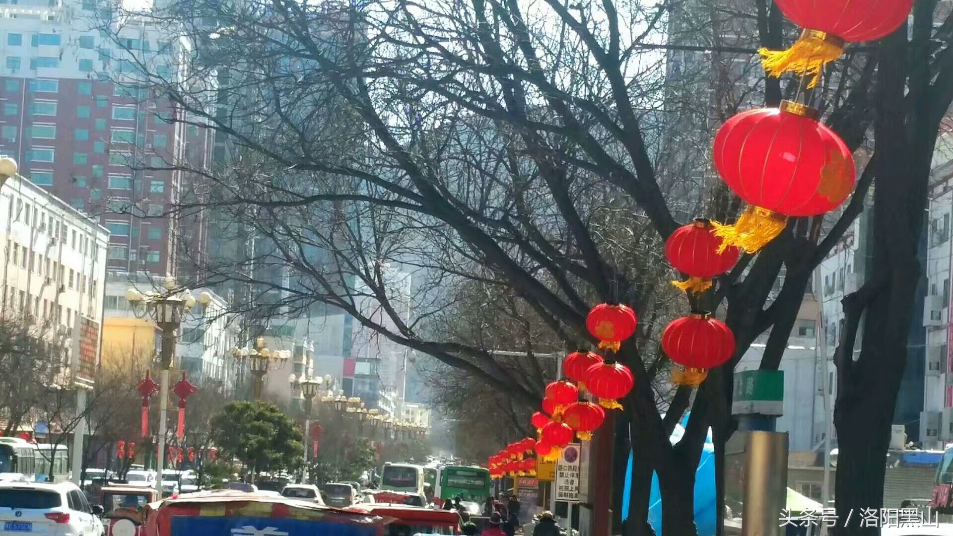 宜阳小灯笼,宜阳红灯笼