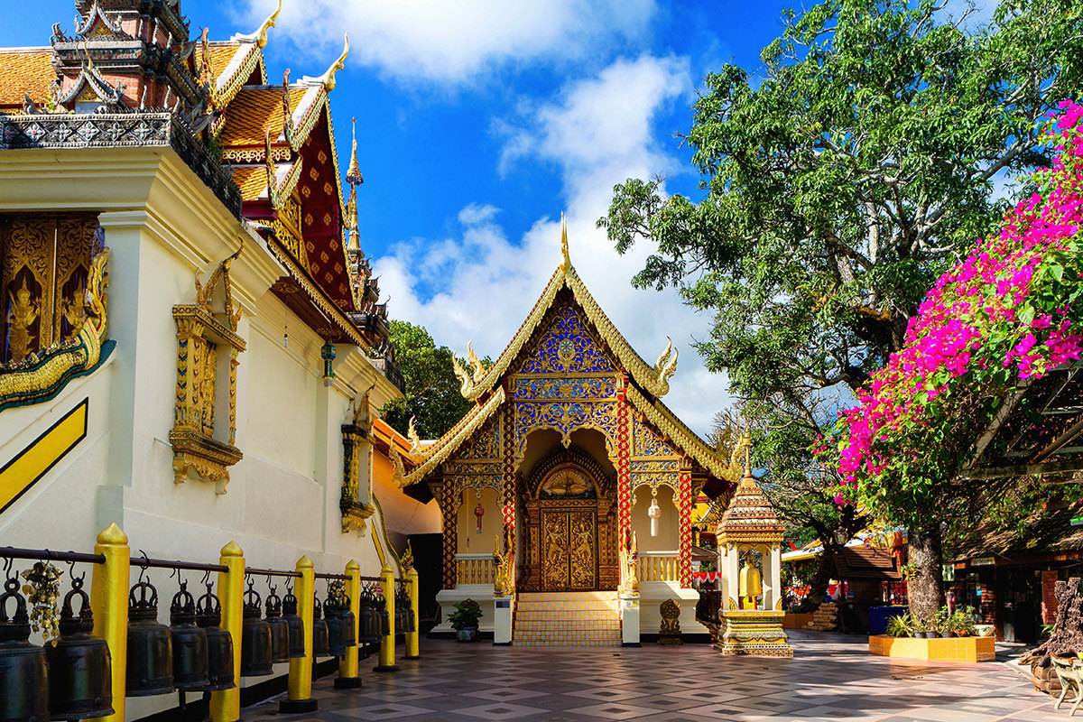 温馨提示一年一度的情人节到了,情人节重要提示