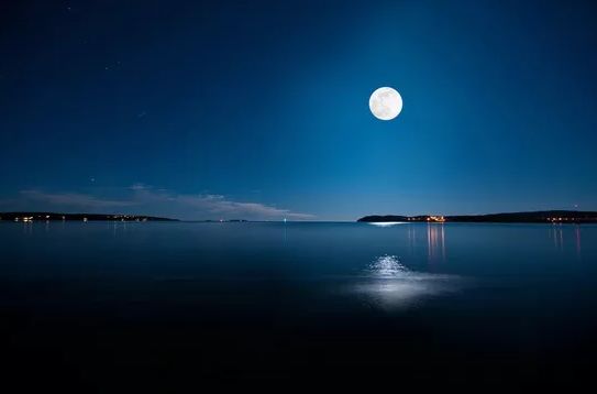 与君共赏意境高远优美的诗句,与千里共婵娟有关的诗词