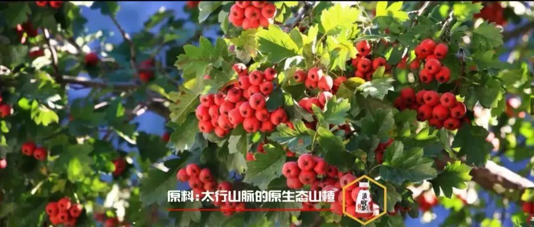 最近爆火的零添加果汁饮料,营养的果汁饮料