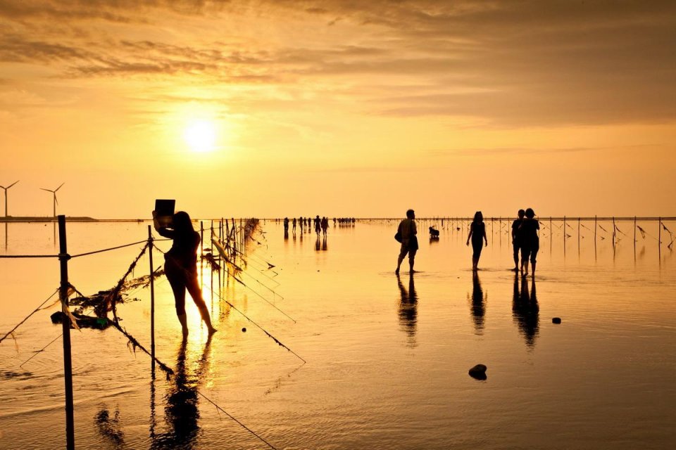 假期又有新去处了!高美湿地:摄影师的创作天堂、娱乐天地