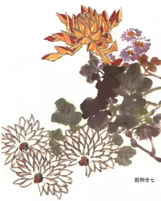 国画菊花画法教学视频,国画入门菊花的画法