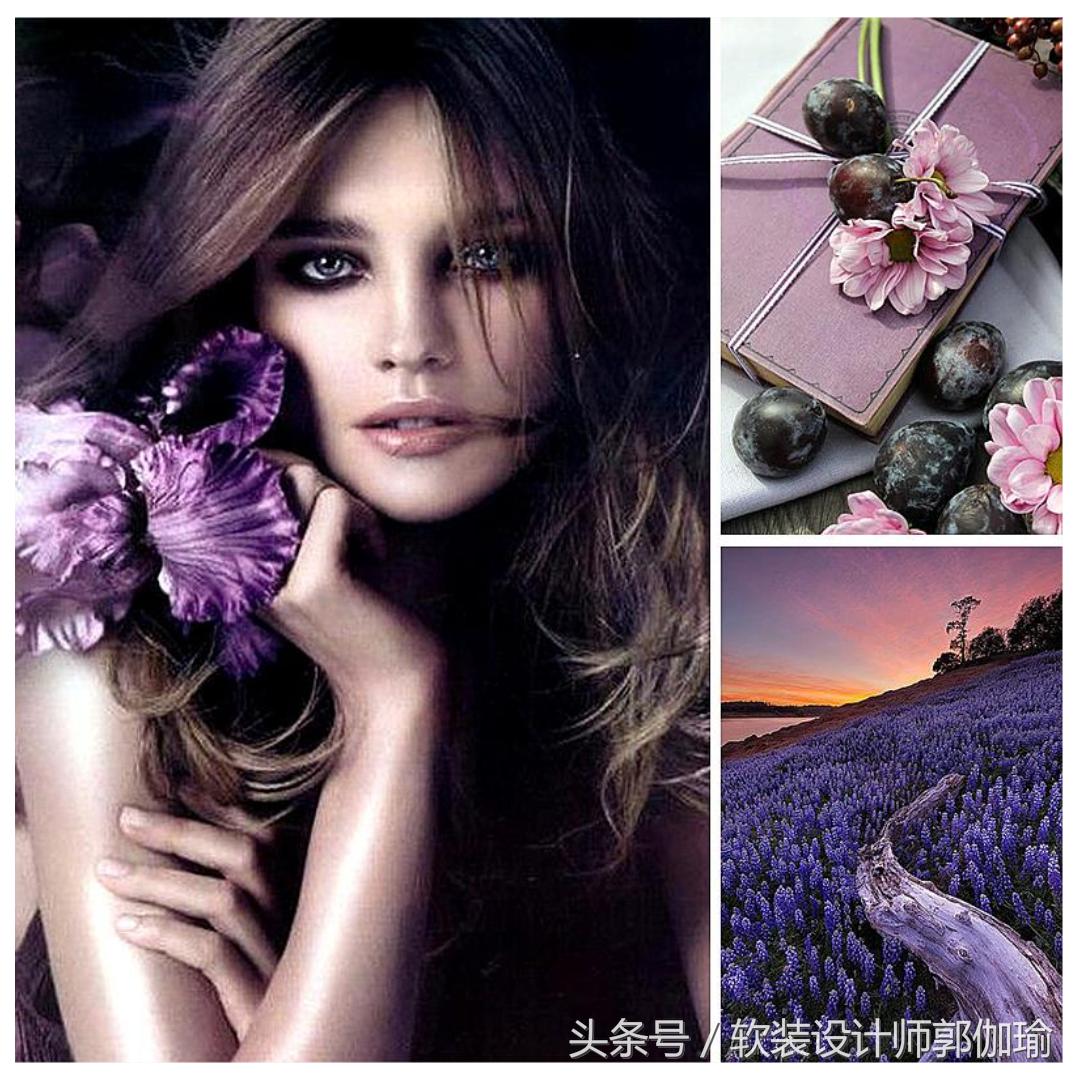 黑白灰软装设计搭配,浓郁紫色高级感软装搭配图片