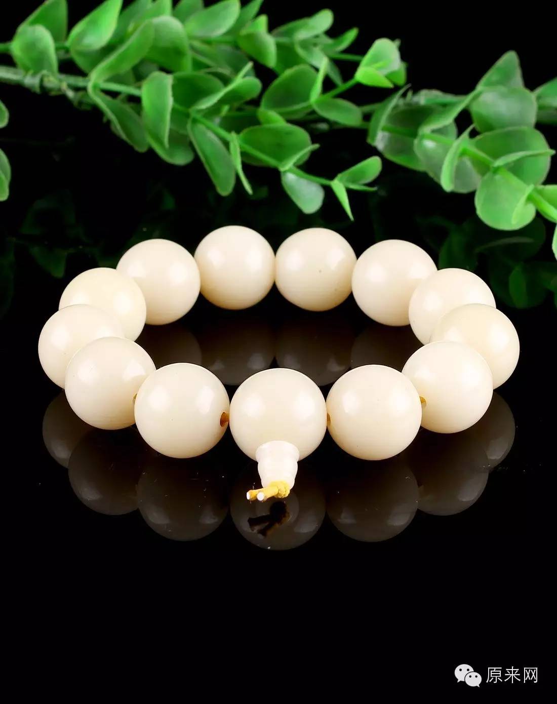 菩提本无树，果实作文玩