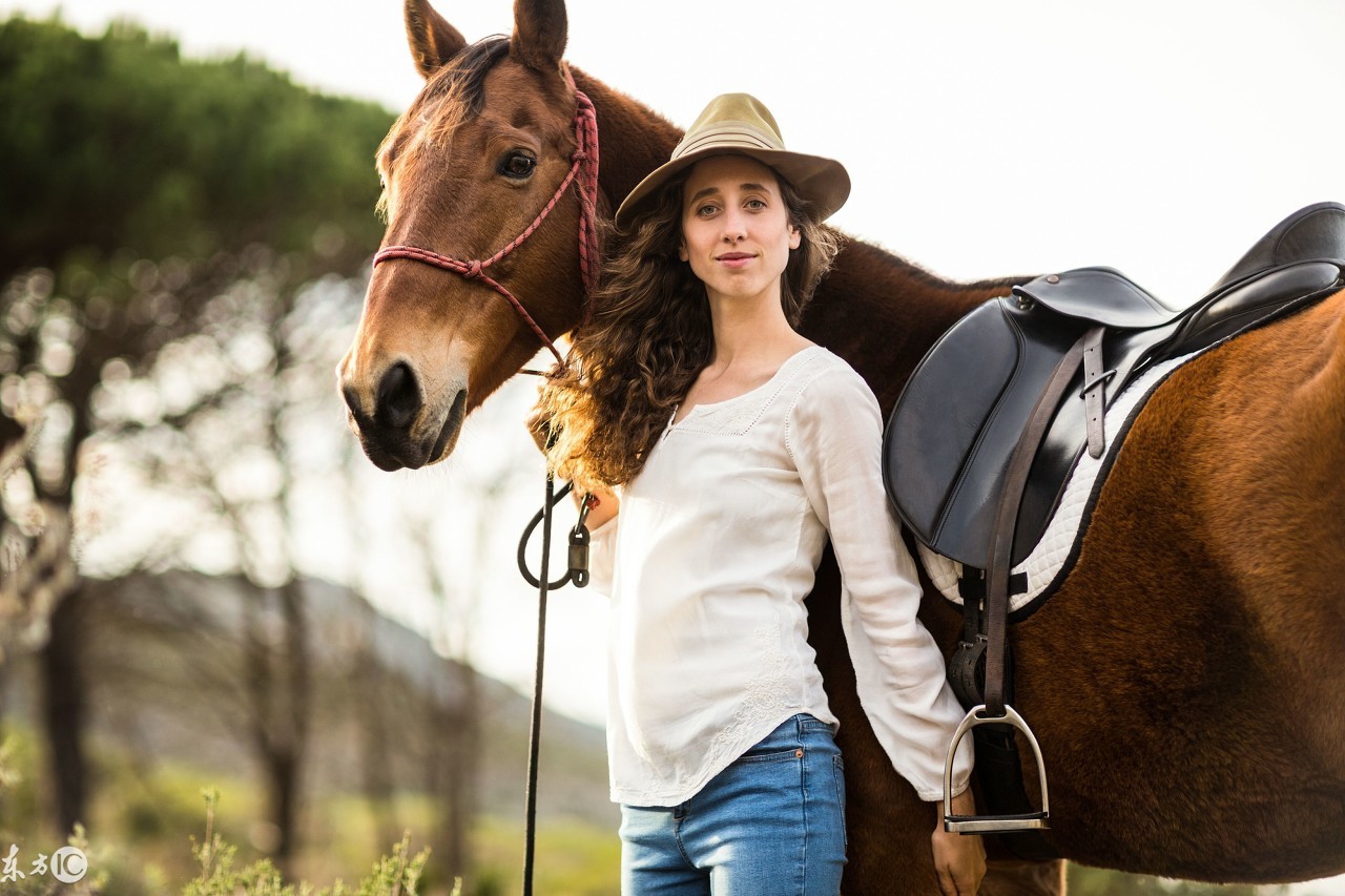十二属相苦尽甘来,12属相哪个属相最傻