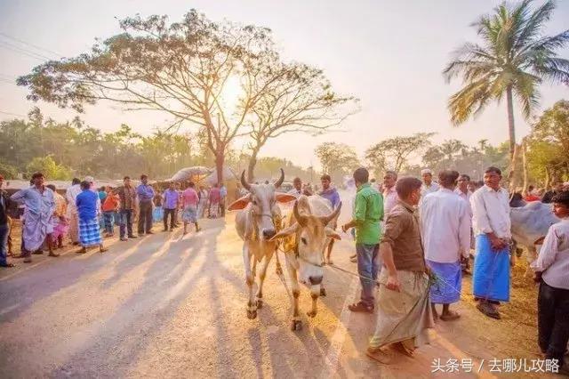 免签国家一览表最新,2023最新免签国家