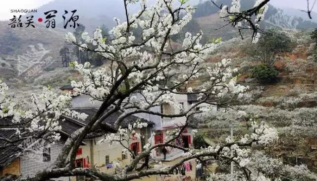 国内风景最好的旅游景点冬天,国内各地最美的十大自驾游线路