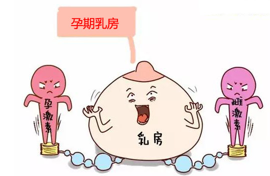 哺乳内衣孕妇专用文胸一体,哺乳内衣小胸聚拢新款高档文胸