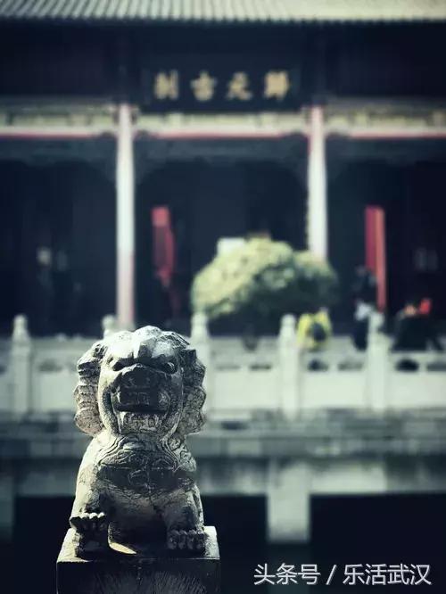 武汉春节新玩法,有一种过年叫宅在家里