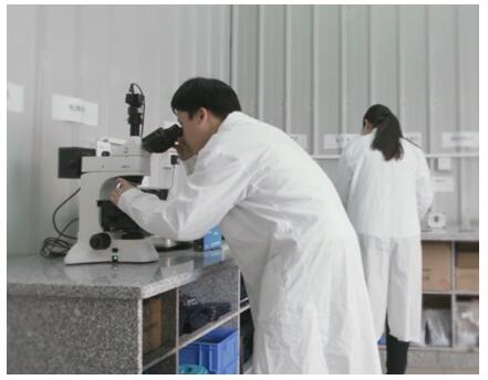 奥运冠军陈一冰,奥荣电器陈一冰