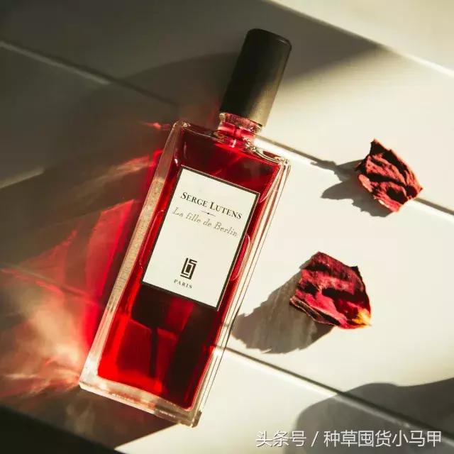 哪款香水是斩男款,比黑鸦片还斩男的香水