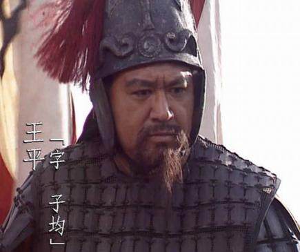 三国姜维的攻击力,三国演义对姜维的评价