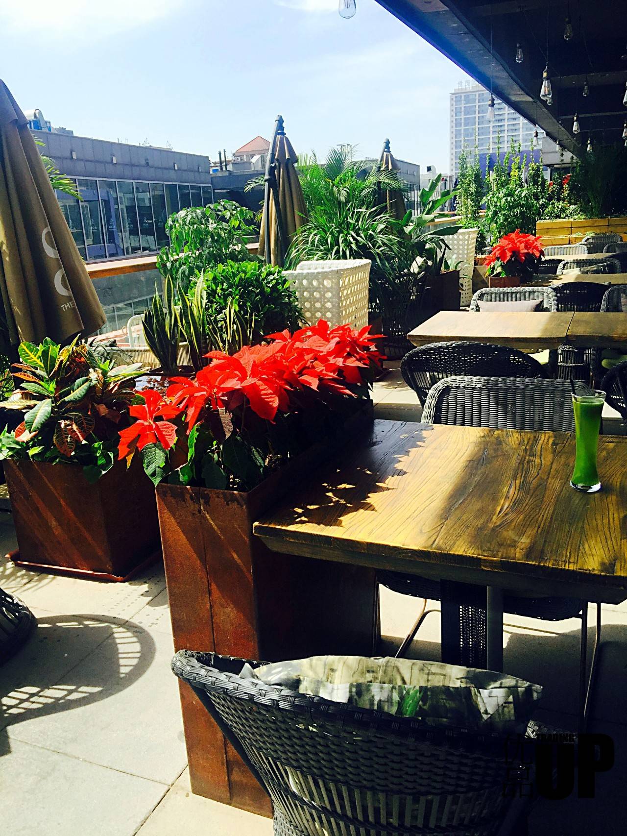 顶级露台餐厅推荐,下雨天适合去的氛围感餐厅