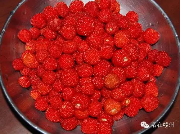 摇啊摇，摇啊摇，摇不到童年的桥，这些美食你还记得吗？