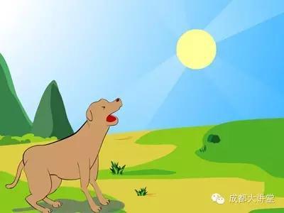 与四川密切相关的成语,含有国名的成语四川