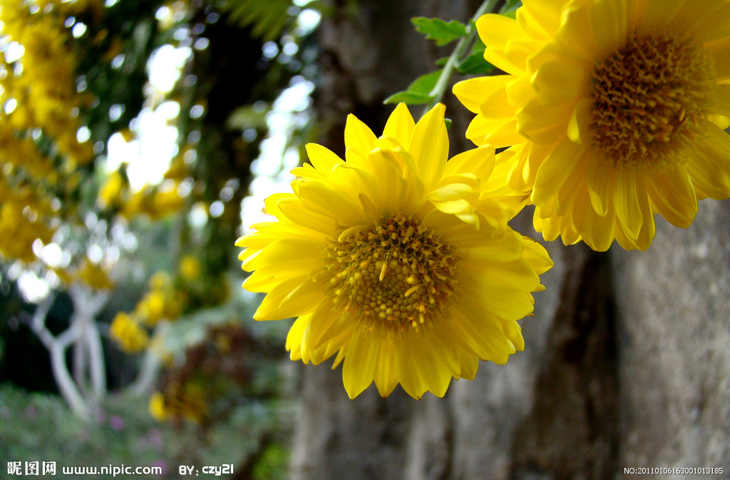 来北大学习,来北大培训学习