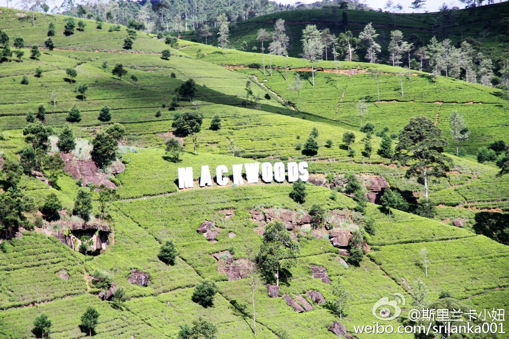 新手小白入门指南买茶小技巧,小白学茶的100个基础