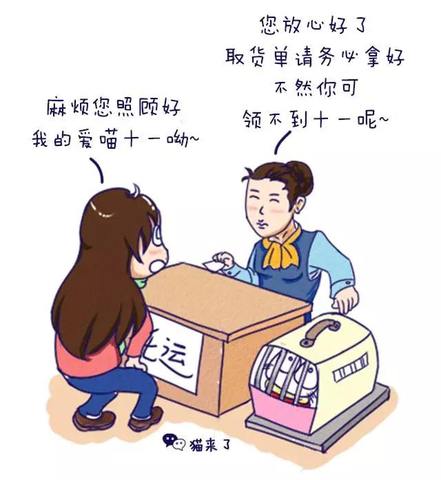 怎么通过客车运送宠物,火车宠物托运怎么办理