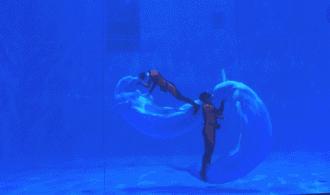 青岛春节香港旅游攻略,青岛春节自驾旅游攻略