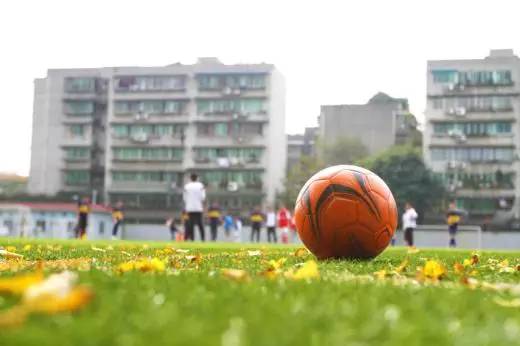 成都体育学院新校区交付,成都体育学院新校区最新消息