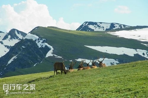 骑行美国·37喜欢旅行，那就上路吧！