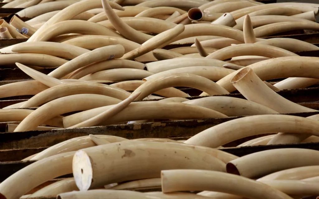 十年近1000名环保人被害,只有10凶手被定罪?