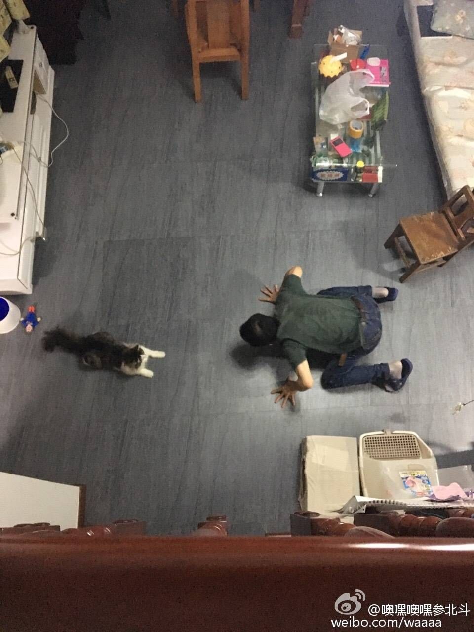 带狗回家后的第一天,带狗回家过年后带不回来了