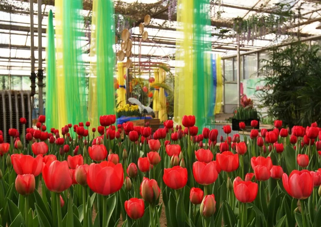 「946·民生」石家庄过年全攻略！医院、银行、演出、商超营业时间地点大汇总！