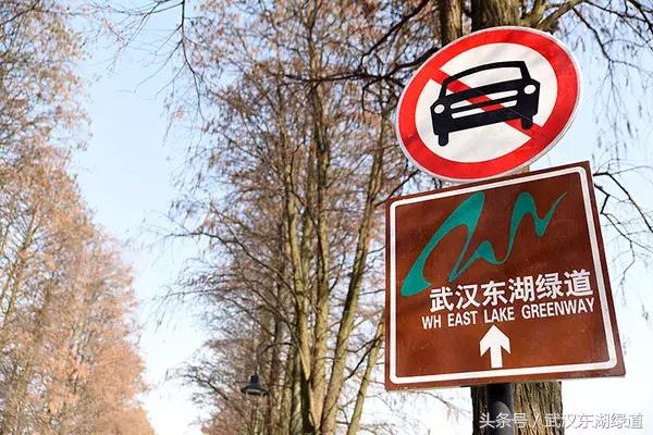 东湖绿道生机勃勃,世界级绿道东湖绿道