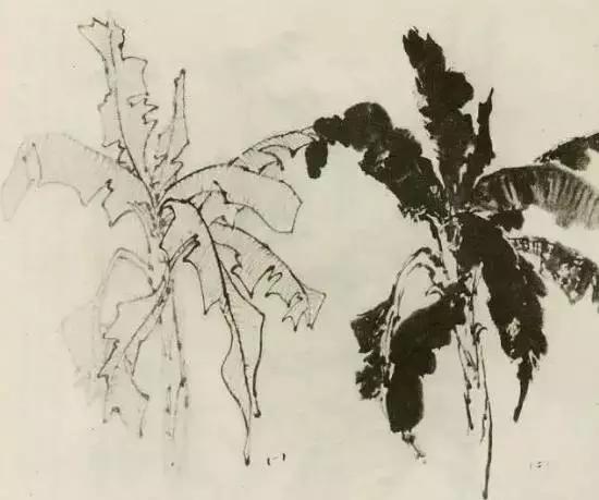 怎么画枯萎的树简单又好看,成长树怎么画小学生六年级