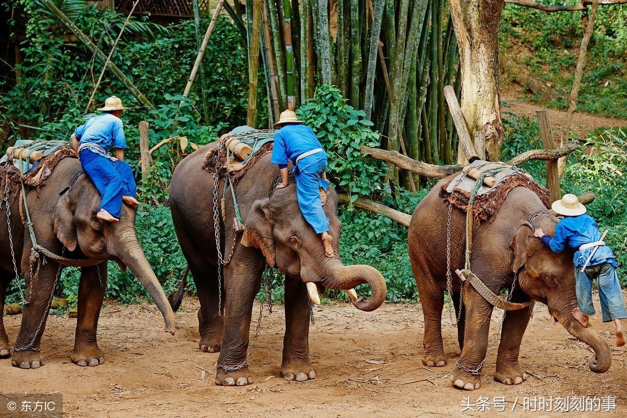 泰国旅游注意事项需要注意这13点,泰国旅游注意事项