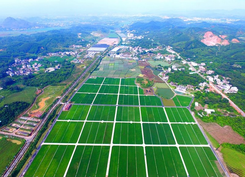 新农村五彩田园图片,农村五彩田园