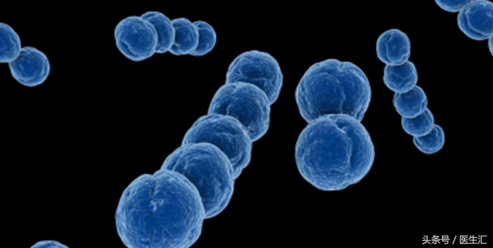 妊娠期B族链球菌感染，你知道多少？