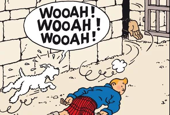 盘点世上的狗狗,盘点那些汪星人和喵星人