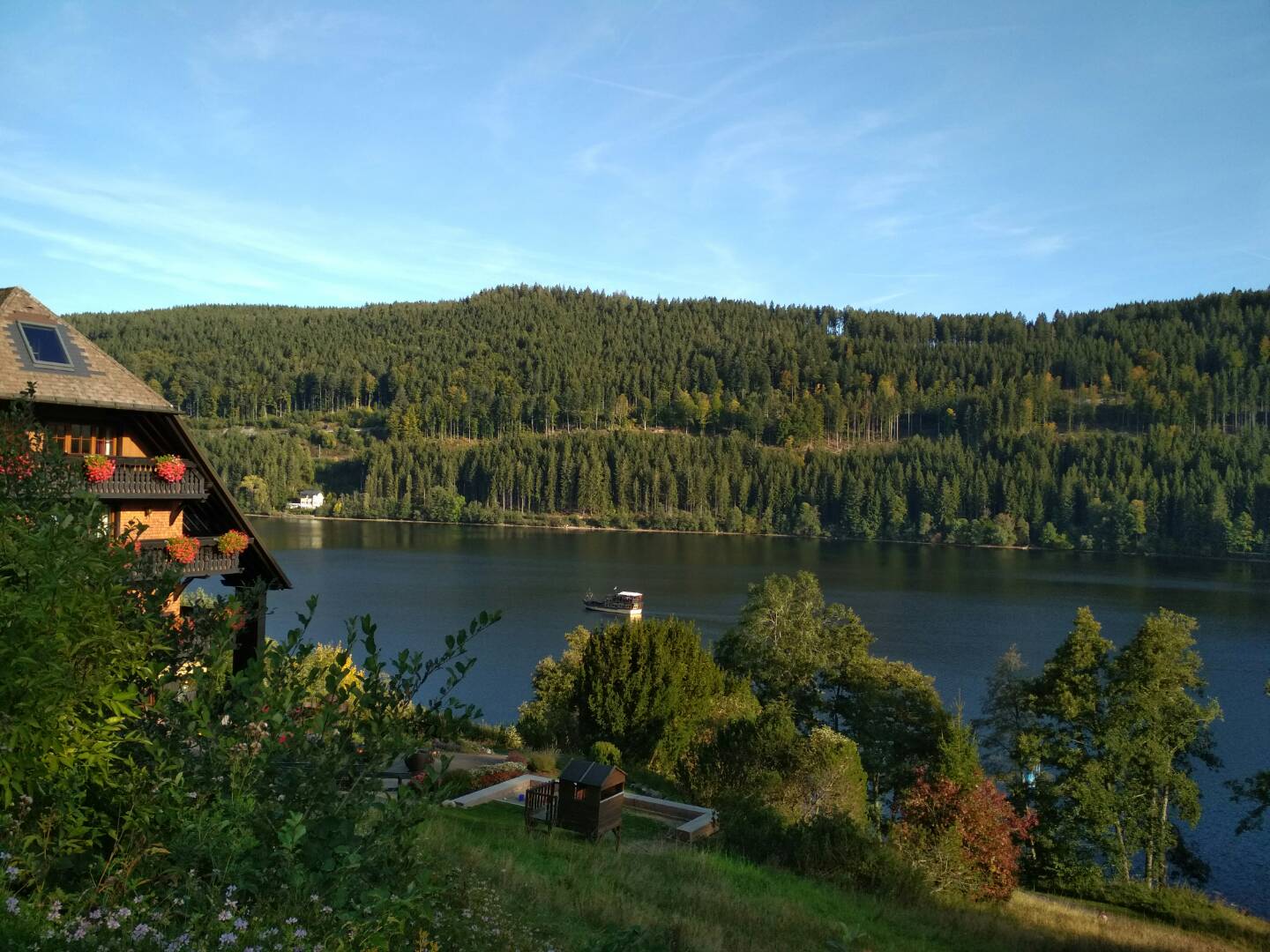 国贸毕业，都去哪里工作了