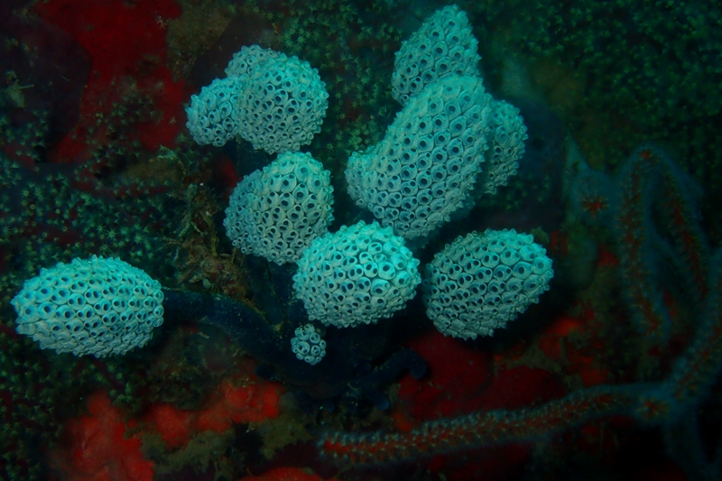 菲律宾科隆群岛游,菲律宾巴拉望科隆群岛自由行