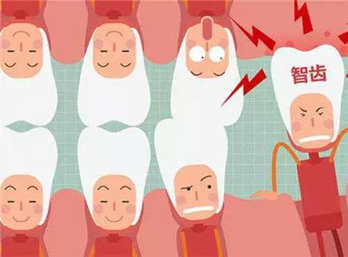 智齿不拔的危害有哪些,智齿的危害及拔除