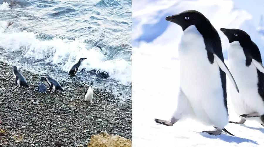 可以媲美欧洲的自驾游地区,十大最适合自驾游的国家