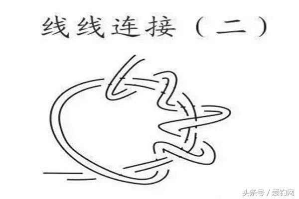 绑鱼的钓法,绑钓线教程新方法