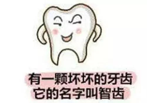 关于牙齿你有哪些疑问呢,关于牙齿的疑问