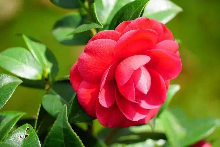 e-mount索尼,emount镜头焦段