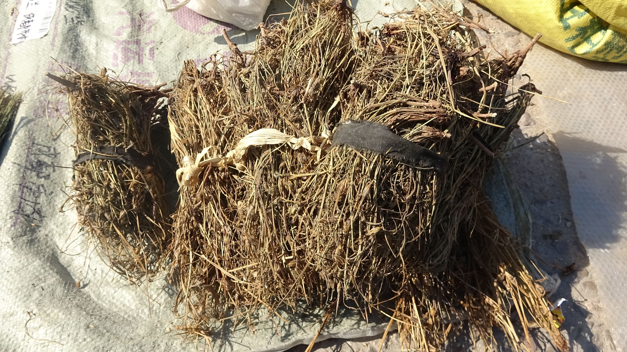 我的家乡集市,临朐县城大集