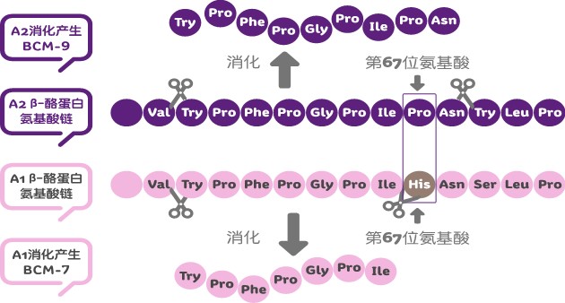 最近查出来的违规奶粉,宝妈奶粉被坑